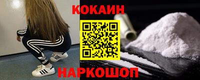 индика Лесосибирск