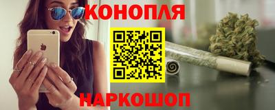 индика Лесосибирск
