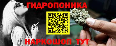 индика Лесосибирск