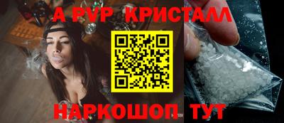индика Лесосибирск
