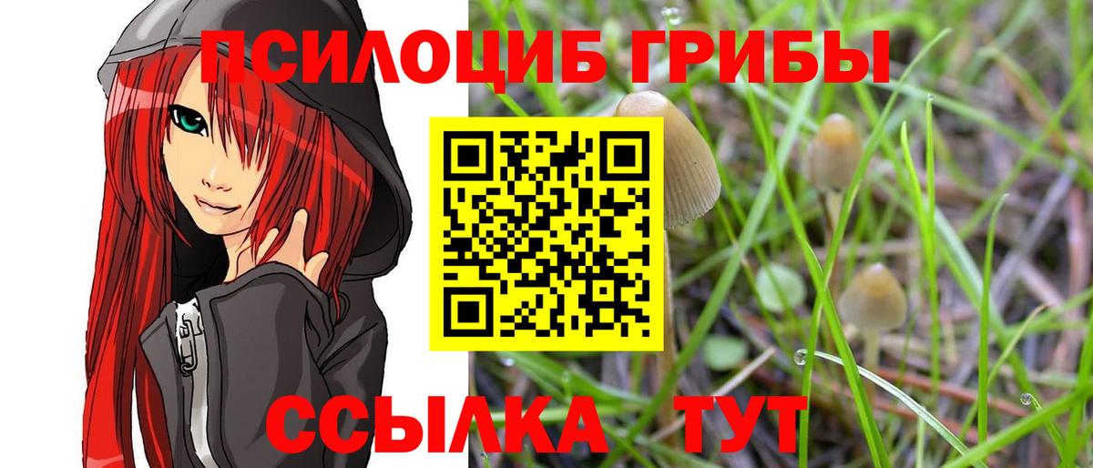 Псилоцибиновые грибы GOLDEN TEACHER  Вход с VPN  Елабуга 