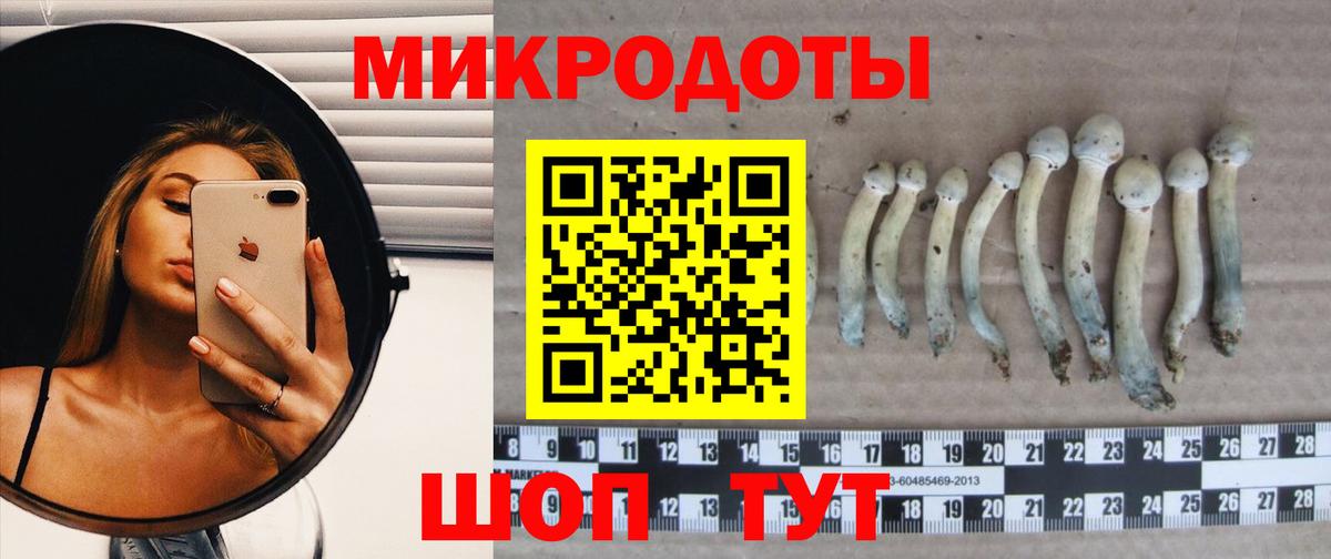 Псилоцибиновые грибы прущие грибы Елабуга